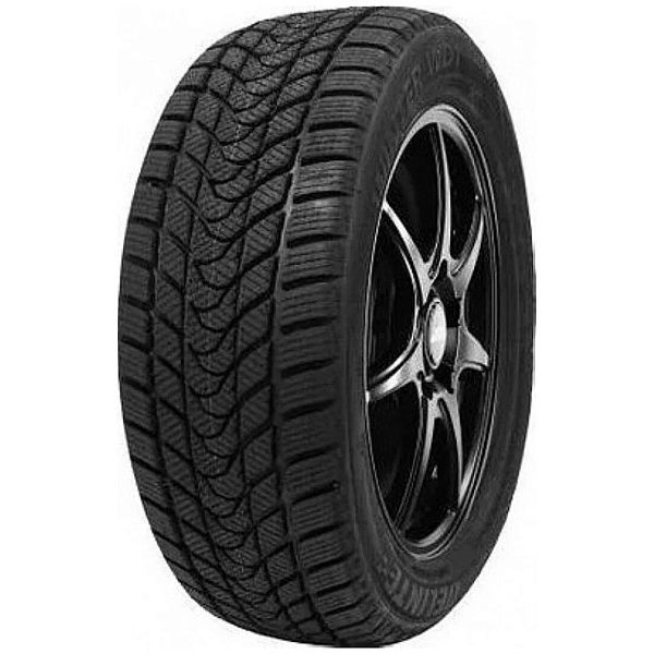 Delinte Winter WD1 175/70 R14 88T зимние китайские